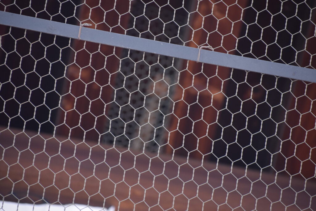 知恩院　七不思議　忘れ傘